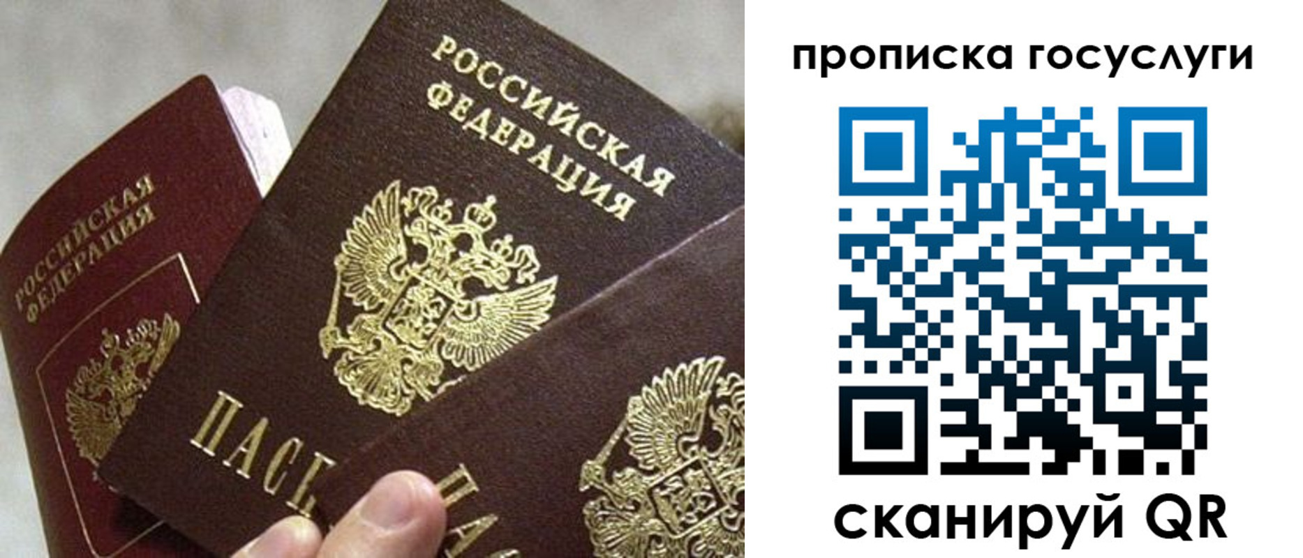 прописка гарантия в Новороссийске